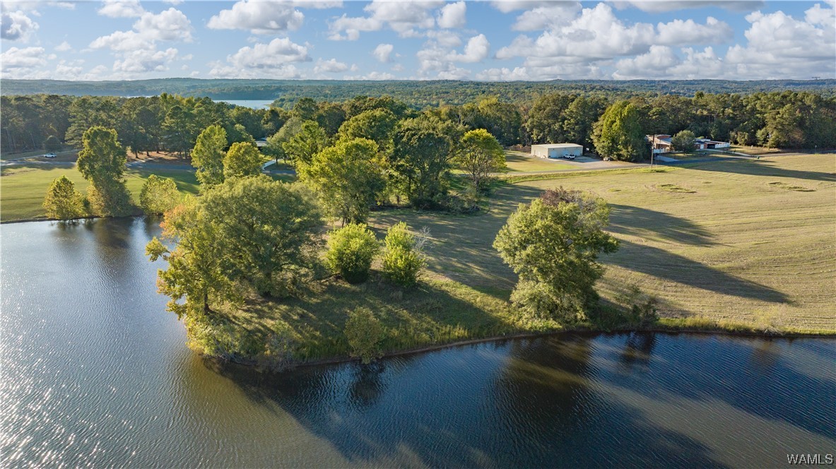 8 Hilltop Estates, North Port, Alabama image 48