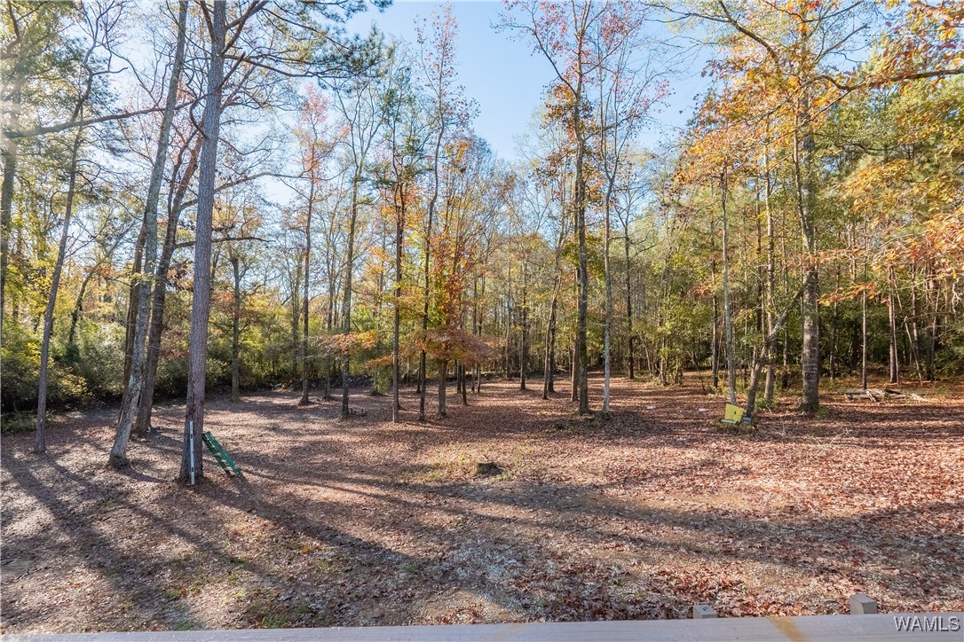 13058 Century Drive, Berry, Alabama image 41