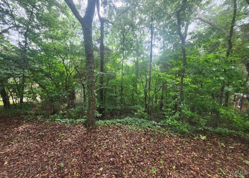 Dema Rest Spur, North Port, Alabama image 4