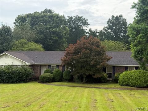 Homes For Sale - 703 19th Street<br/> Fayette County, Fayette, AL 35555