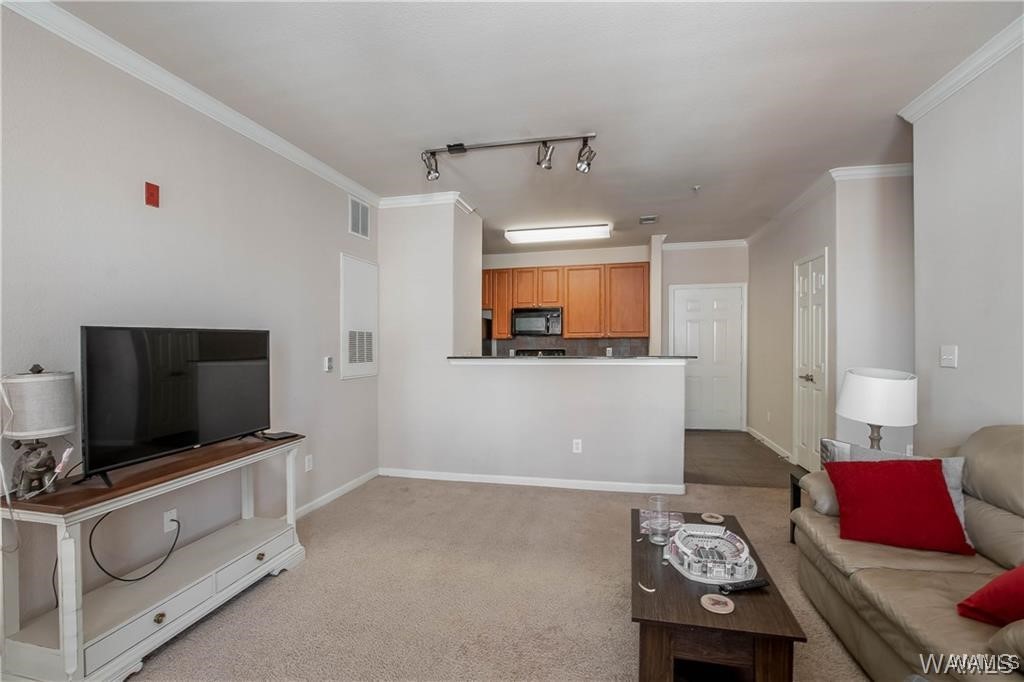 600 13th Street #525, Tuscaloosa, Alabama image 1
