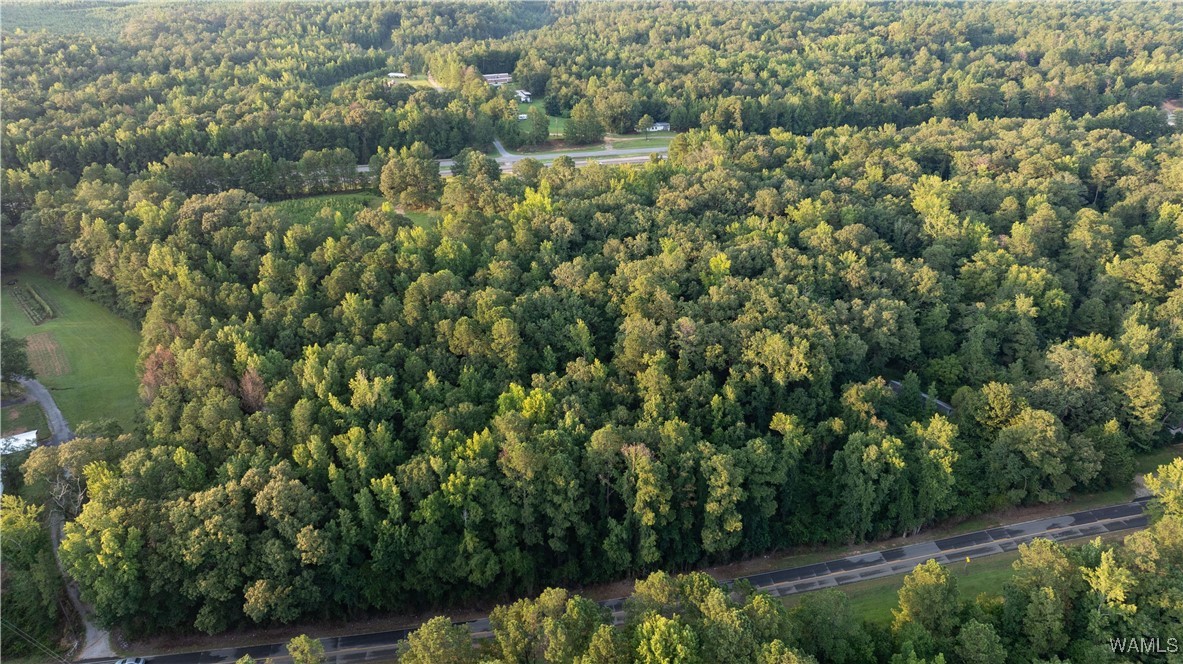 18928 Highway 82, Gordo, Alabama image 10