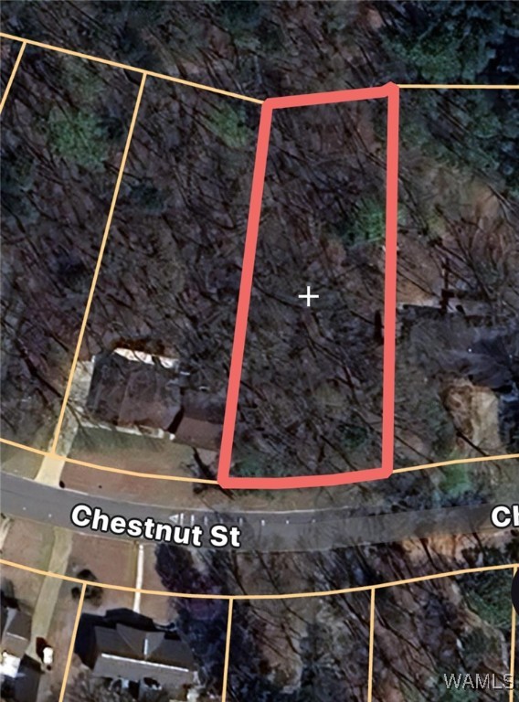 5620 Chestnut Street, Tuscaloosa, Alabama image 4