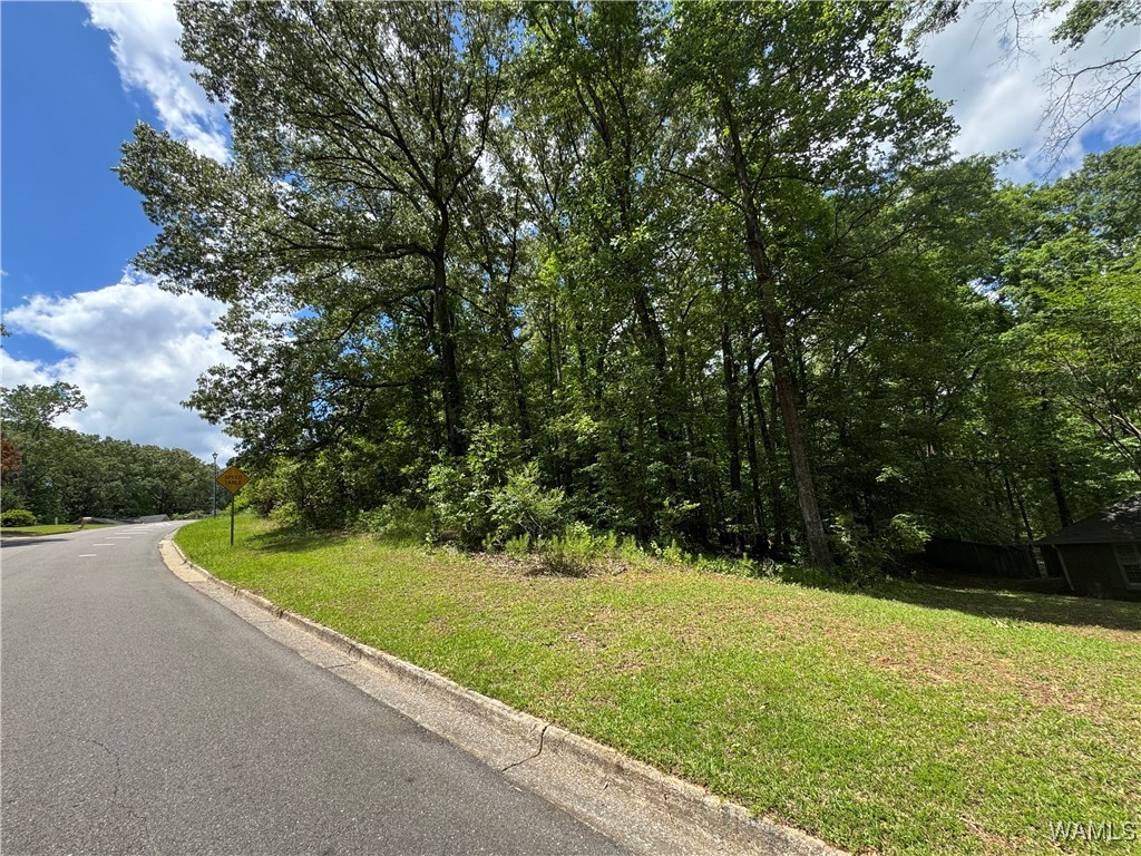 5620 Chestnut Street, Tuscaloosa, Alabama image 2