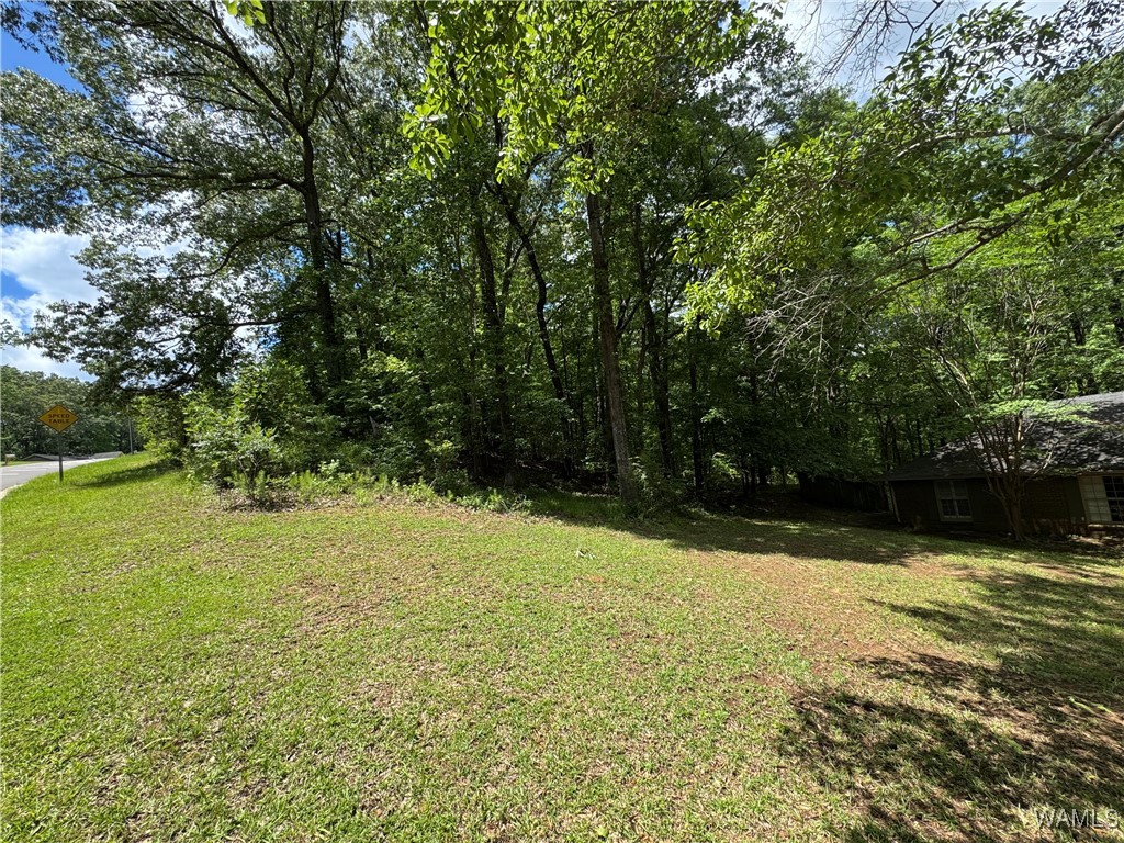 5620 Chestnut Street, Tuscaloosa, Alabama image 1