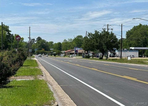 Vacant Land For Sale - 615 Highway 82 E<br/> Reform, AL 35481