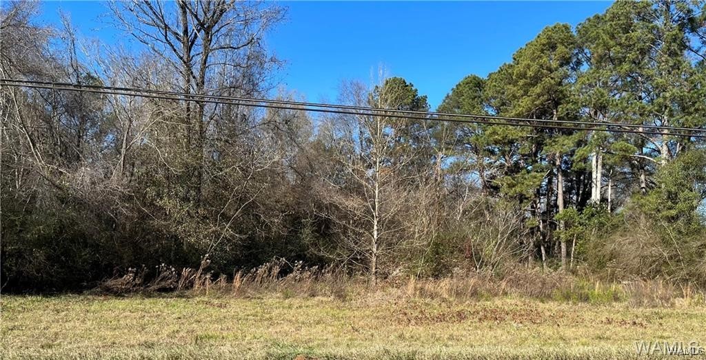 3336 Culver Road, Tuscaloosa, Alabama image 1
