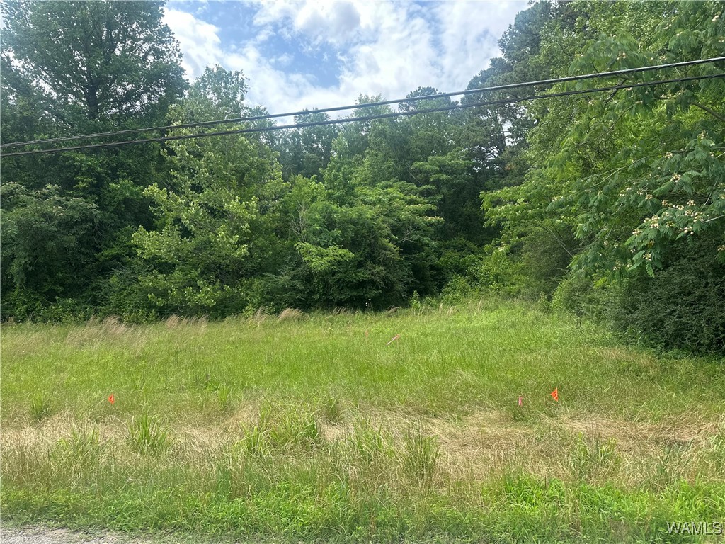 3336 Culver Road, Tuscaloosa, Alabama image 4