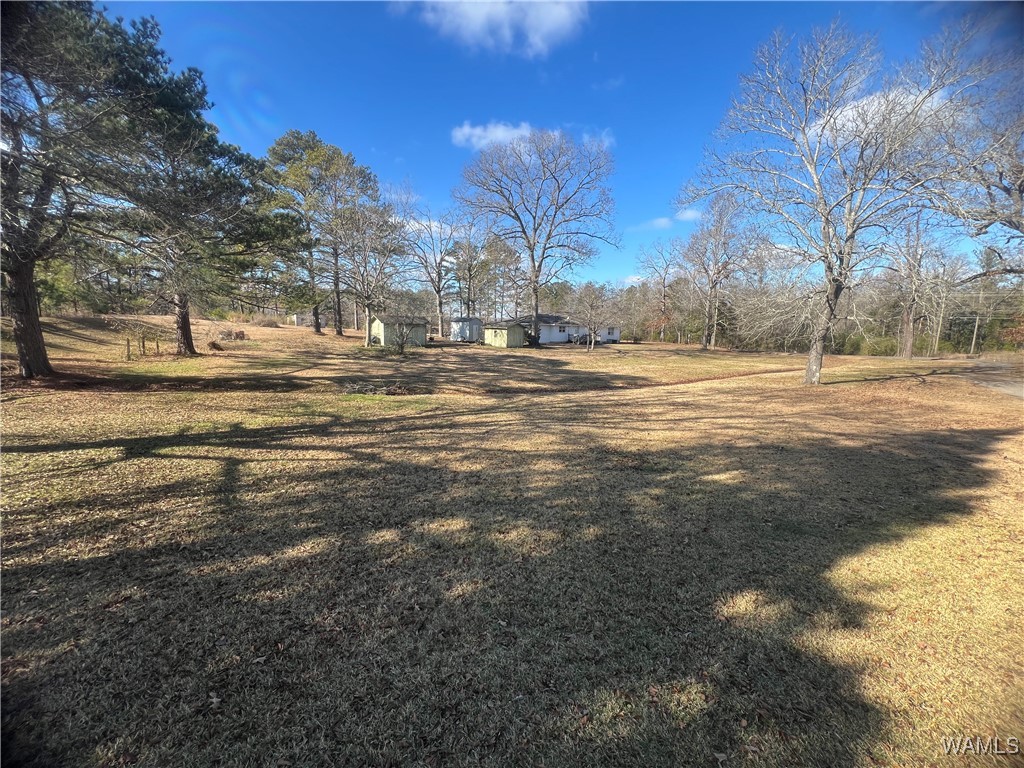 14857 Kepple Loop Loop, Coaling, Alabama image 16