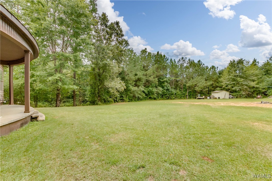 263 County Rd 101, Bankston, Alabama image 15