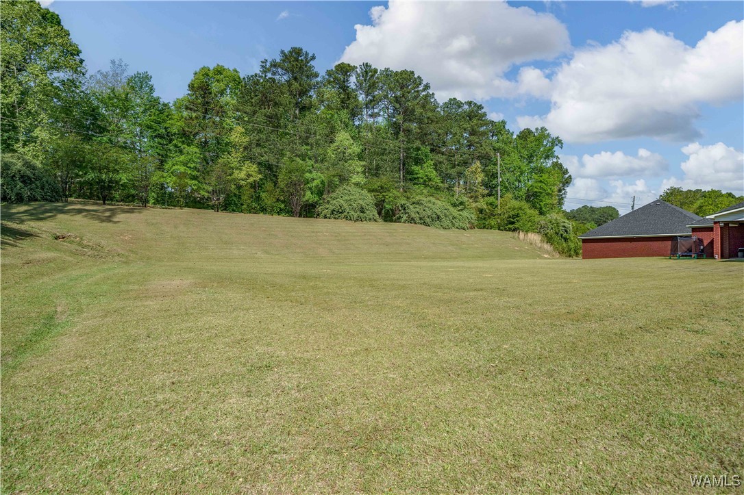555 Dollar Rd Rd, North Port, Alabama image 15