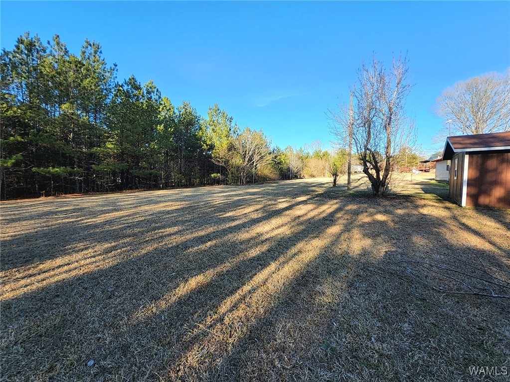 16290 Poe Drive, Cottondale, Alabama image 22