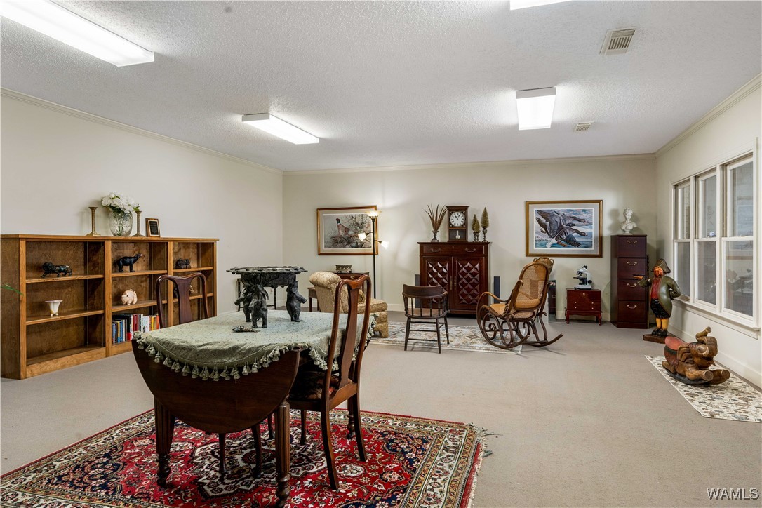 9169 Enterprise Avenue, Tuscaloosa, Alabama image 40