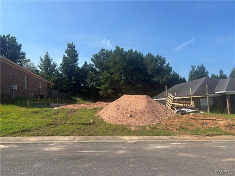Homes For Sale - 6639 Helen Julia Lane<br/> Cottondale, AL 35453