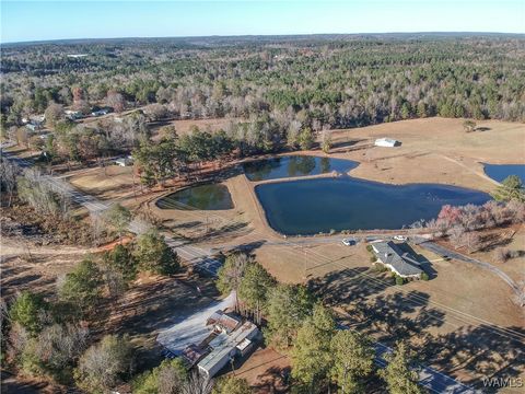 Homes For Sale - 16414 Hwy 11 N<br/> Vance, AL 35490