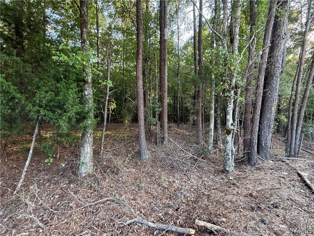 15149 Wire Rd