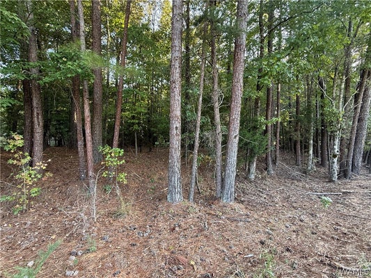15149 WIRE RD, COALING, AL 35453 - Image 5f7cc7d4303c43b2daffccea6bbce498/4268736767