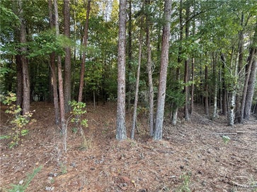 15149 Wire Rd Cottondale AL 35453