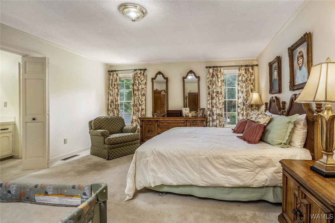 102 Covey Chase, Tuscaloosa, Alabama image 32