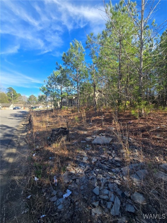 21 Timbertop Lane, Fosters, Alabama image 1