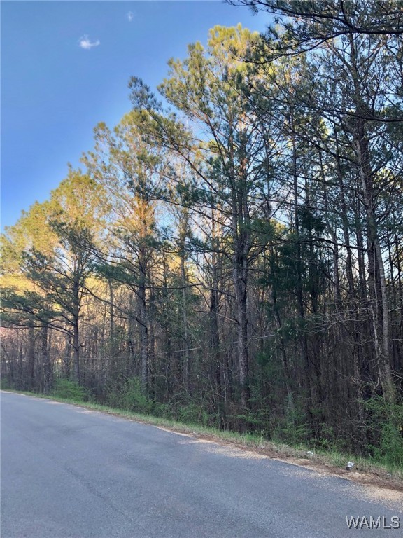 1747 County Road 108, Fayette, Alabama image 5