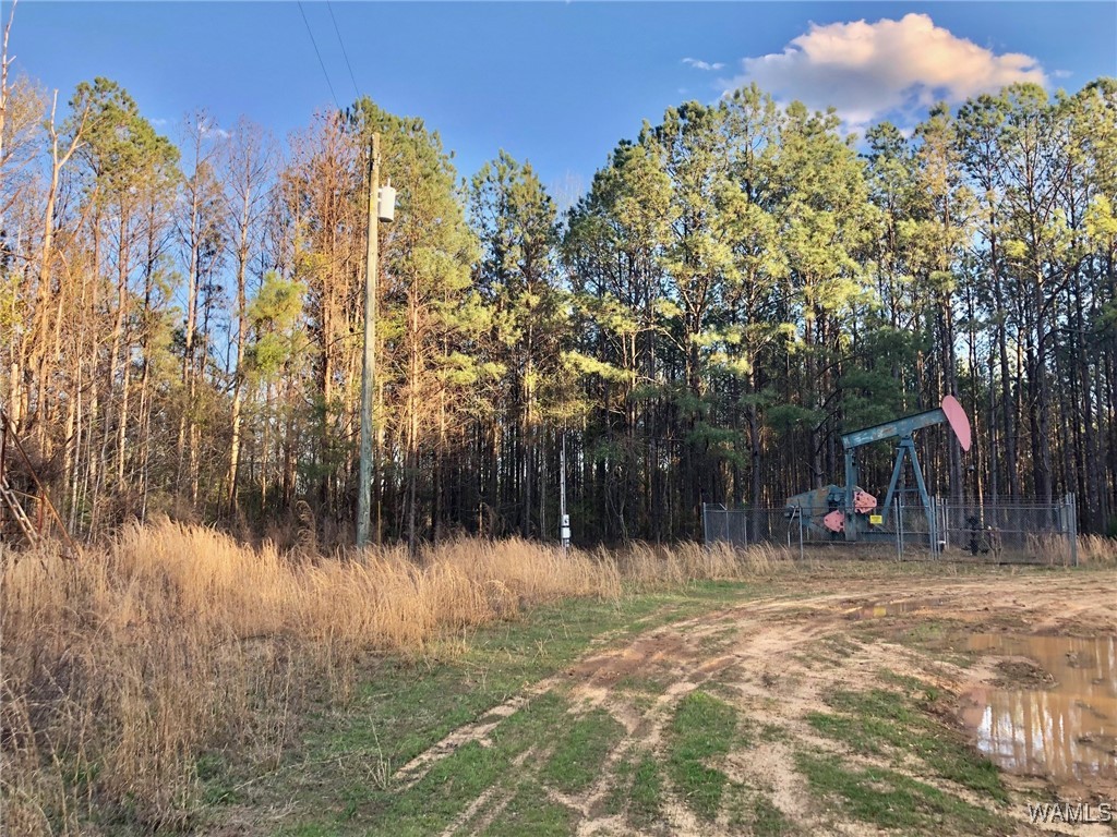1747 County Road 108, Fayette, Alabama image 4