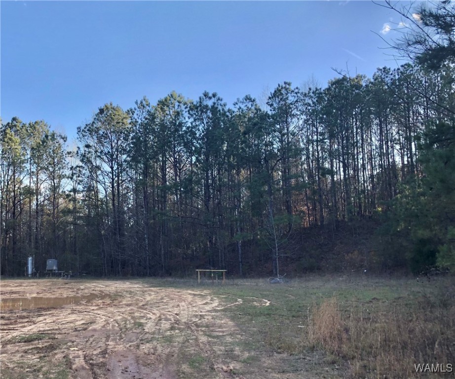 1747 County Road 108, Fayette, Alabama image 3