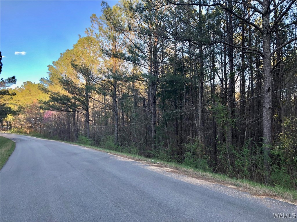 1747 County Road 108, Fayette, Alabama image 1