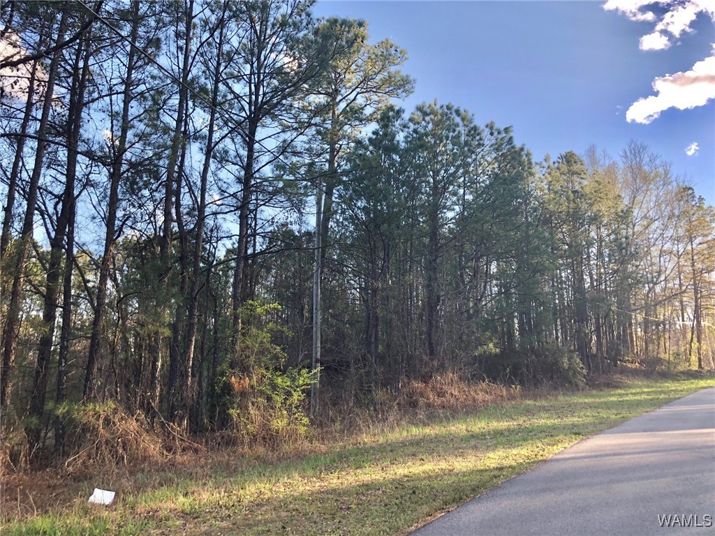 1747 County Road 108, Fayette, Alabama image 2