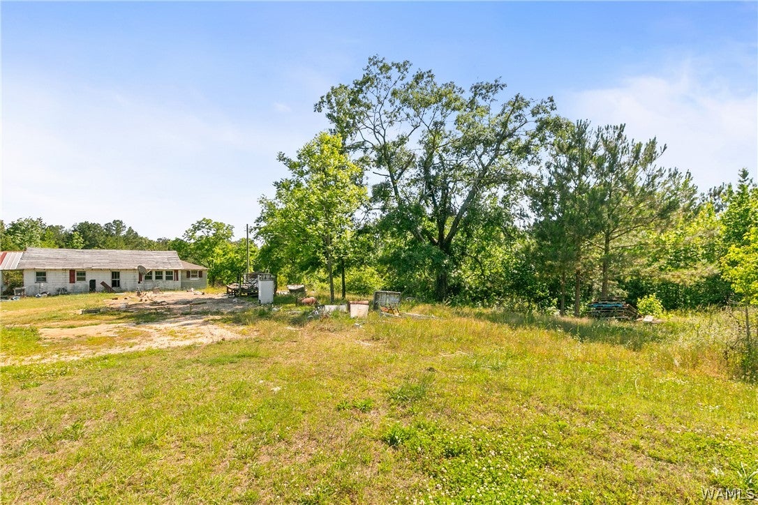 3881 County Highway 47 - Photo 4