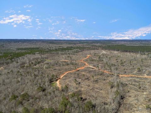 Vacant Land For Sale - Brown Street<br/> Sumter County, Ward, AL 36922