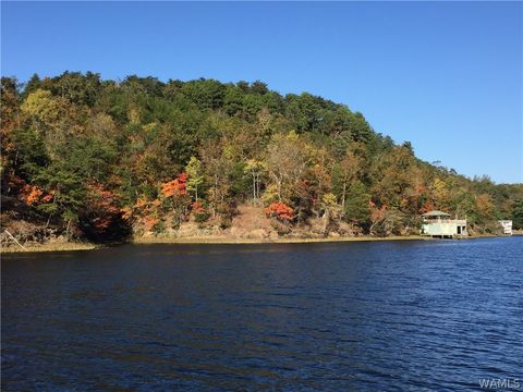 Vacant Land For Sale - 0000 Sexton Bend Rd<br/> Tuscaloosa, AL 35406