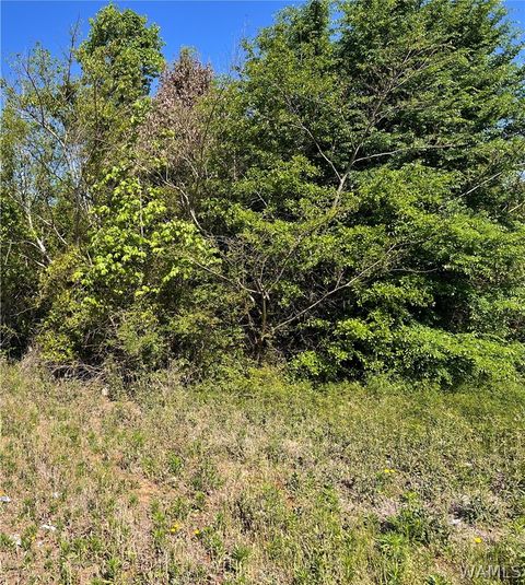 0 1st Street NE Tuscaloosa AL 35404