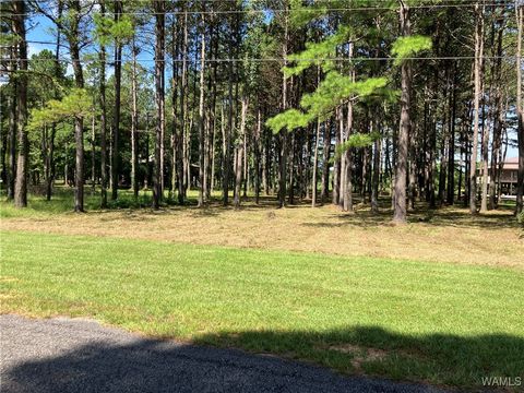 Vacant Land For Sale - LOT 21 Cypress Point Drive<br/> Hale County, Akron, AL 35441