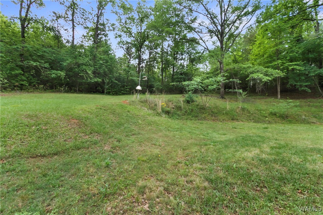 2138 Montevallo Road, Centreville, Alabama image 24