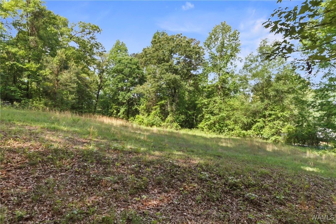 2138 Montevallo Road, Centreville, Alabama image 30