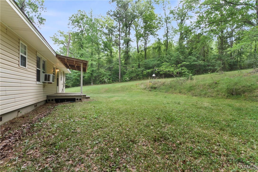 2138 Montevallo Road, Centreville, Alabama image 21