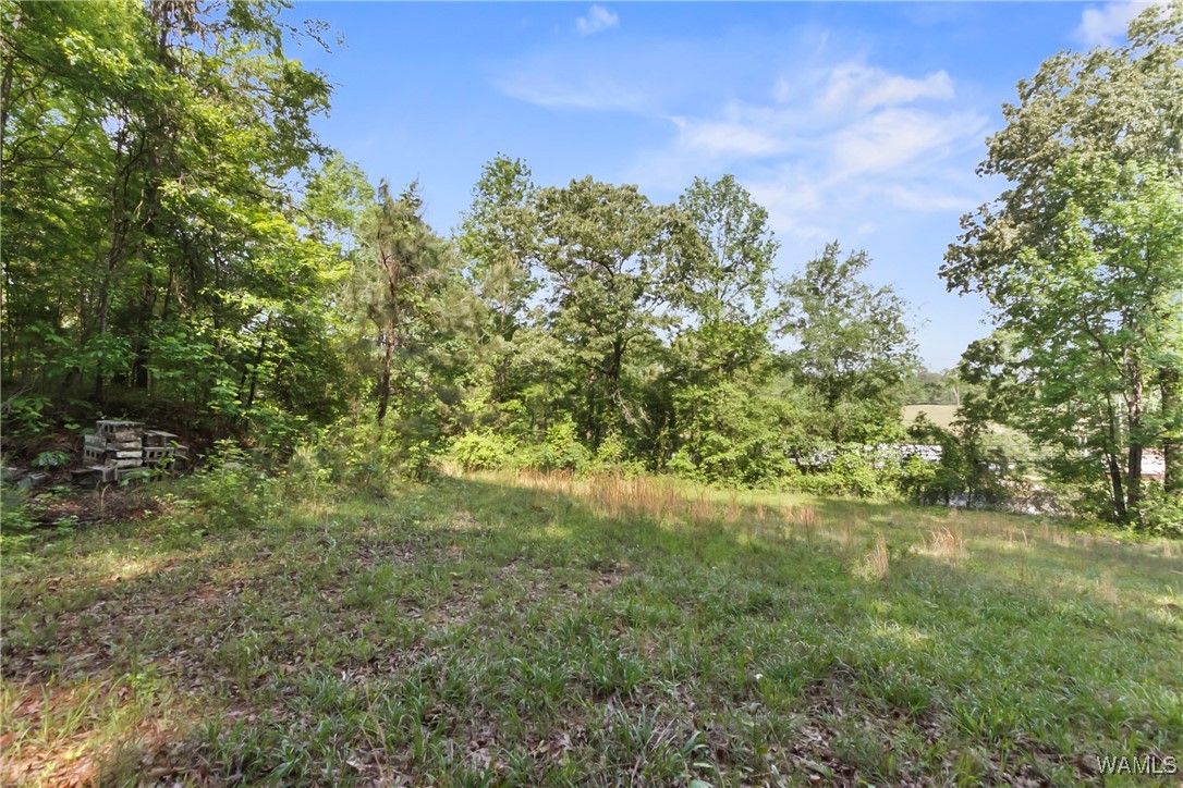 2138 Montevallo Road, Centreville, Alabama image 31