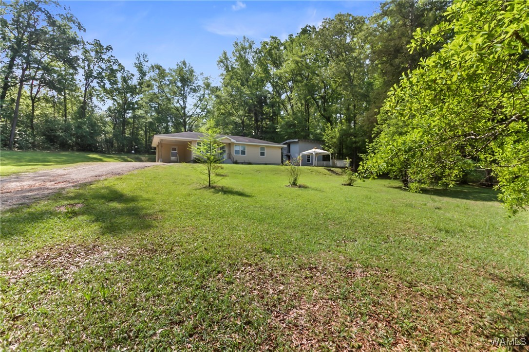 2138 Montevallo Road, Centreville, Alabama image 33