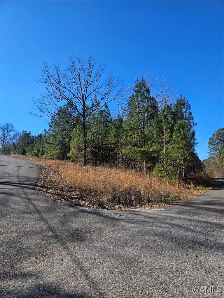 Photo 1 of 4 — 20136 Molly Trace, Woodstock, AL 35188