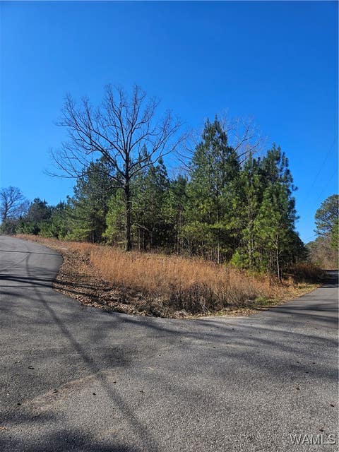 Vacant Land For Sale - 20136 Molly Trace Trce<br/> Woodstock, AL 35188