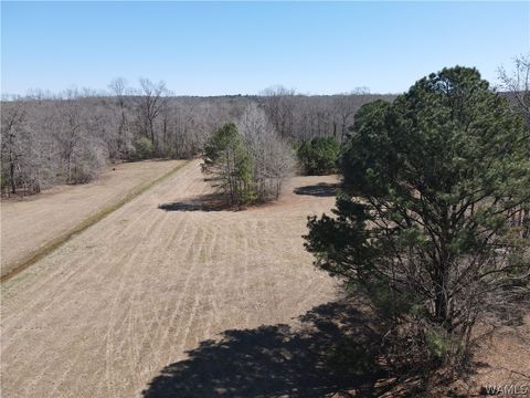 Homes For Sale - 12287 Patton Place Spur<br/> Coker, AL 35452