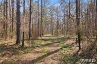 162a Cypress Point Dr, Akron, Alabama image 15