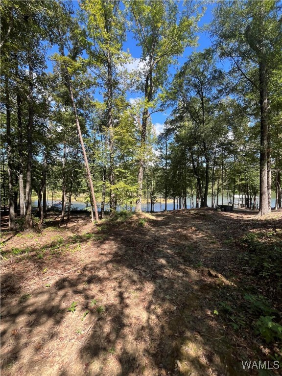 3 Rising Tide, North Port, Alabama image 8