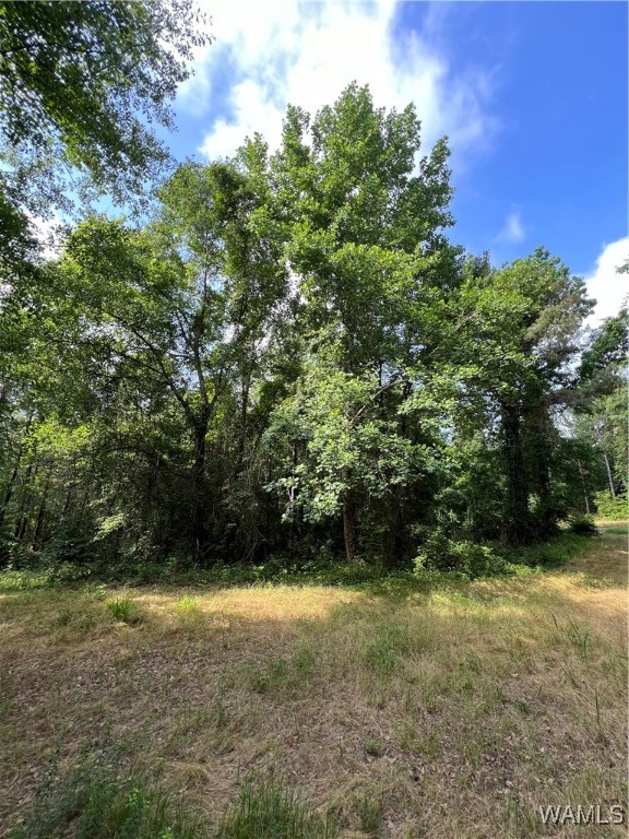 County Road 183, Marion, Alabama image 44