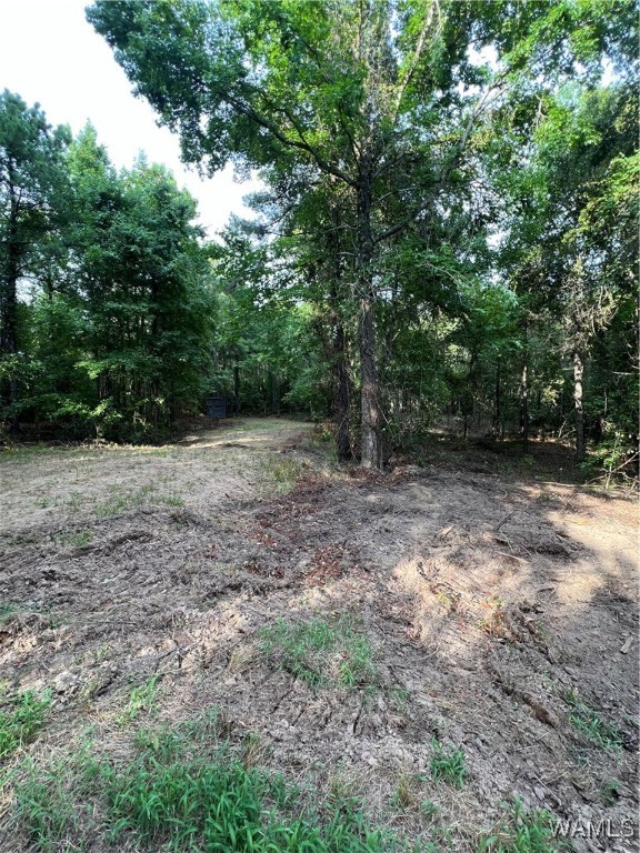 County Road 183, Marion, Alabama image 8
