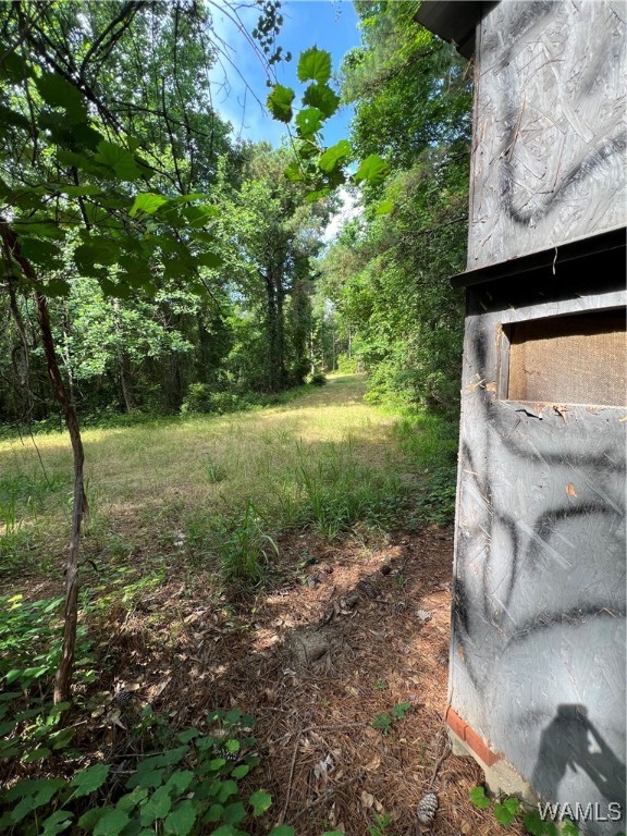 County Road 183, Marion, Alabama image 9