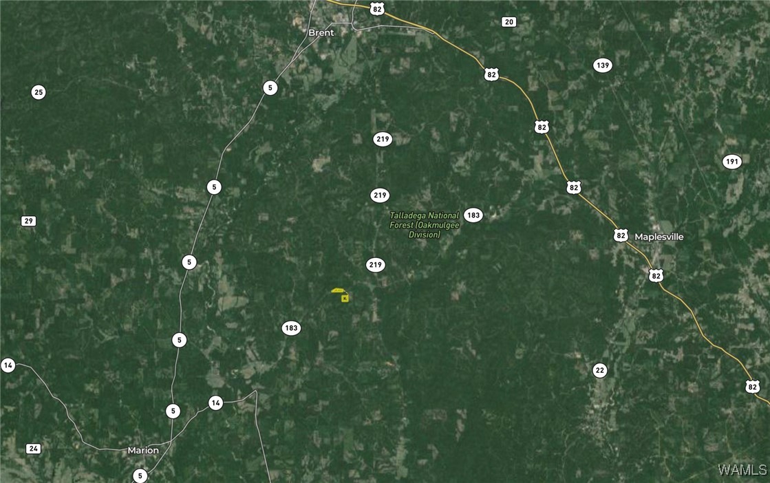 County Road 183, Marion, Alabama image 19