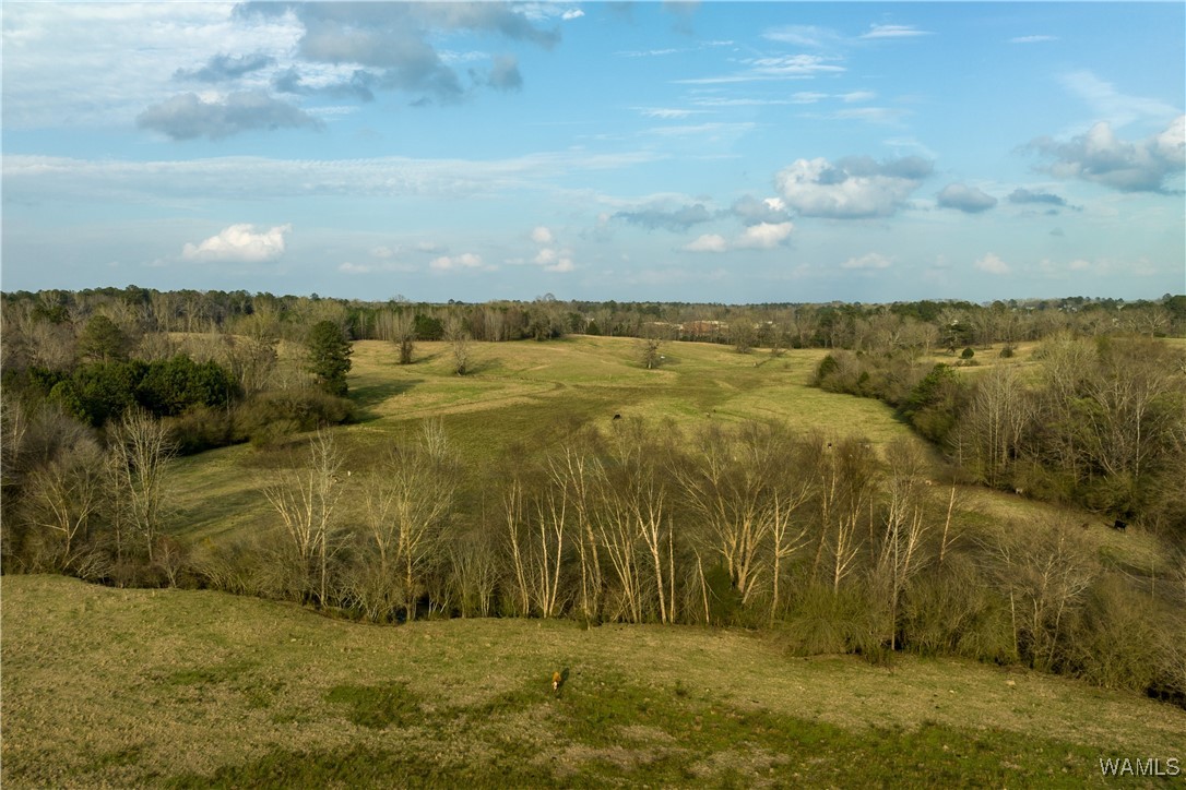 13567 Northside Road, Berry, Alabama image 3
