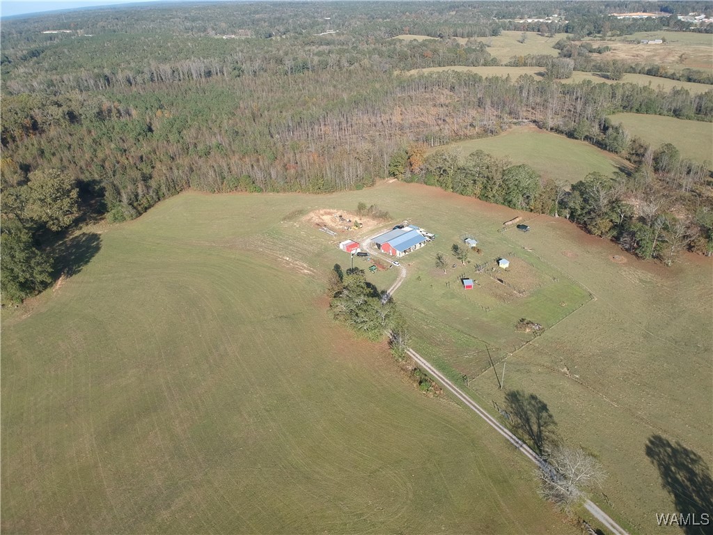 13567 Northside Road, Berry, Alabama image 7